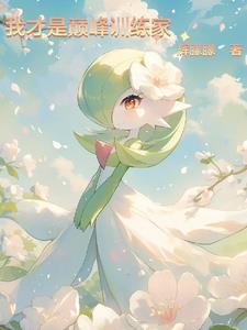 宝可梦:谁说没有系统就不能活