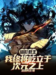 暗影君王：我终将屹立于次元之上